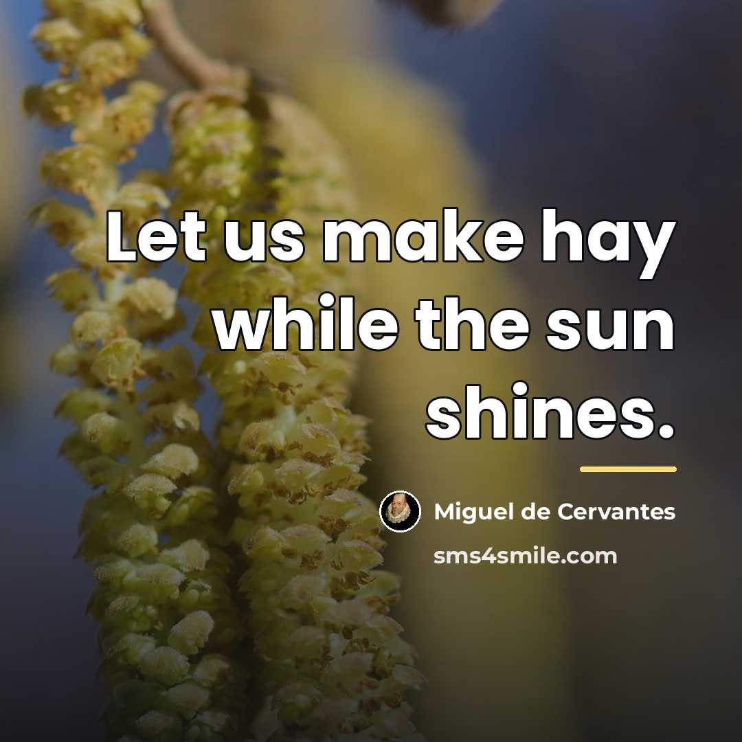 “Let us make hay while the sun shines.…” quote by Miguel de Cervantes