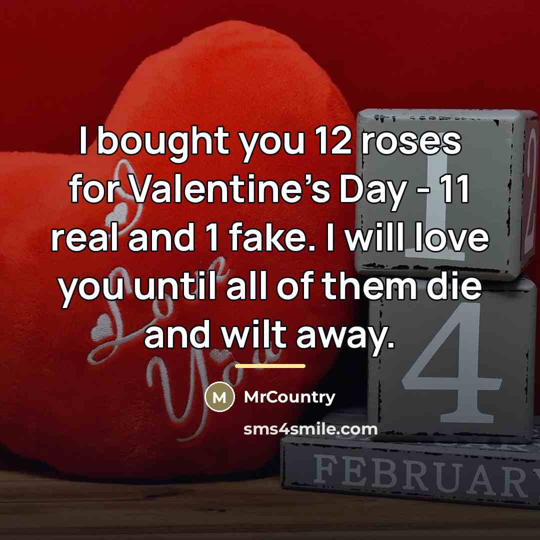 “I bought you 12 roses for Valentine's Day - 11…” quote by MrCountry