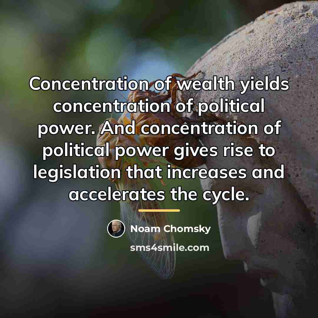 “Concentration of wealth yields concentration of political power. And concentration…” quote by Noam Chomsky