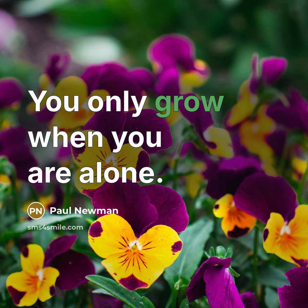 “You only grow when you are alone.…” quote by Paul Newman