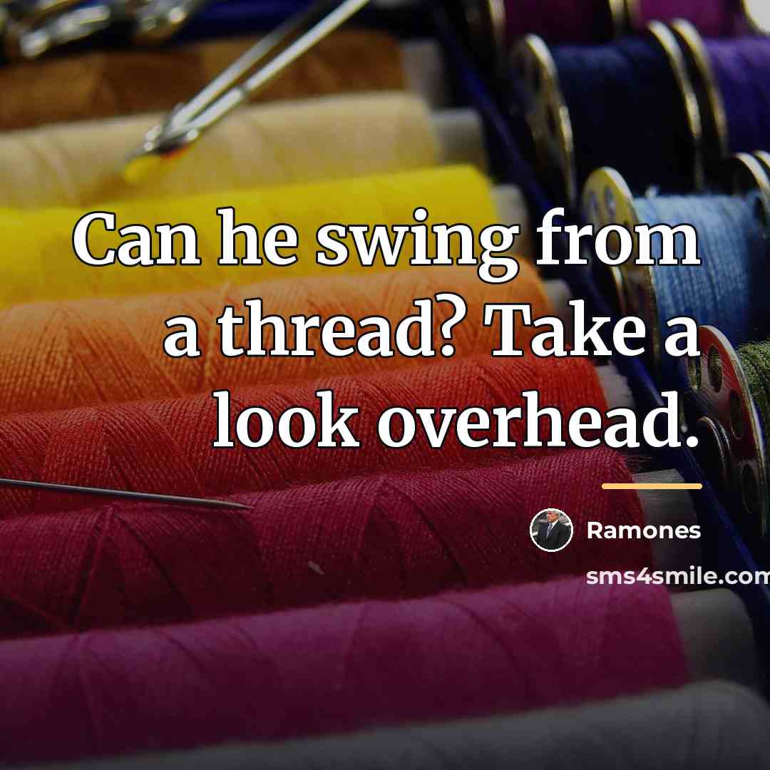 “Can he swing from a thread? Take a look overhead.…” quote by Ramones