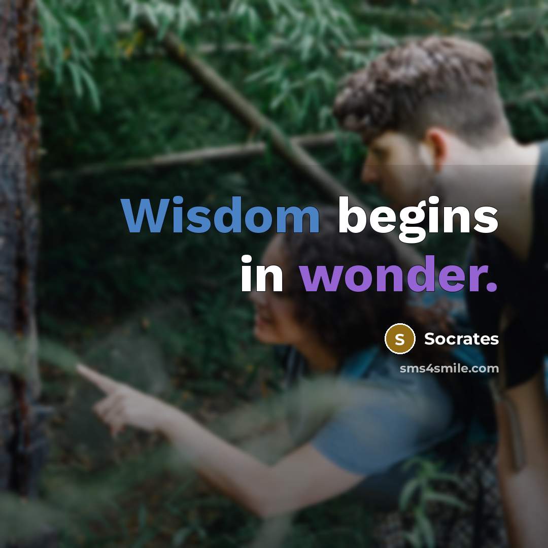 “Wisdom begins in wonder.” quote by Socrates