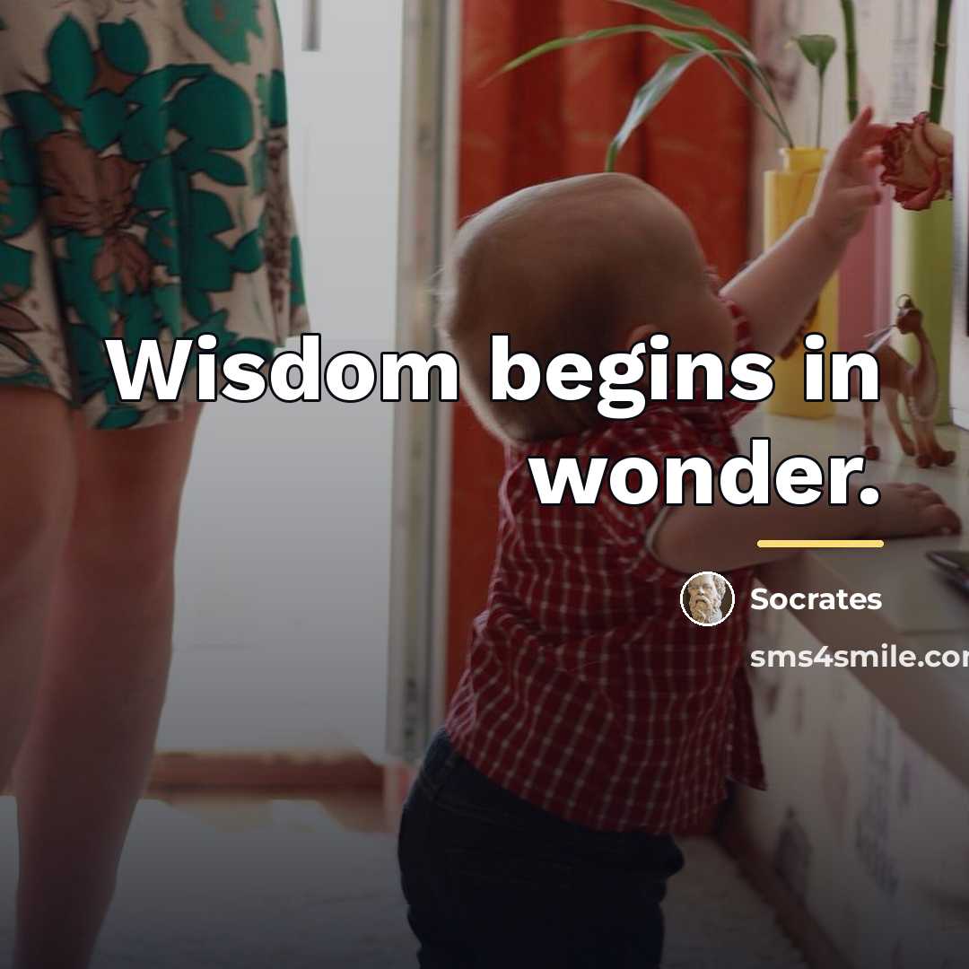 “Wisdom begins in wonder.…” quote by Socrates