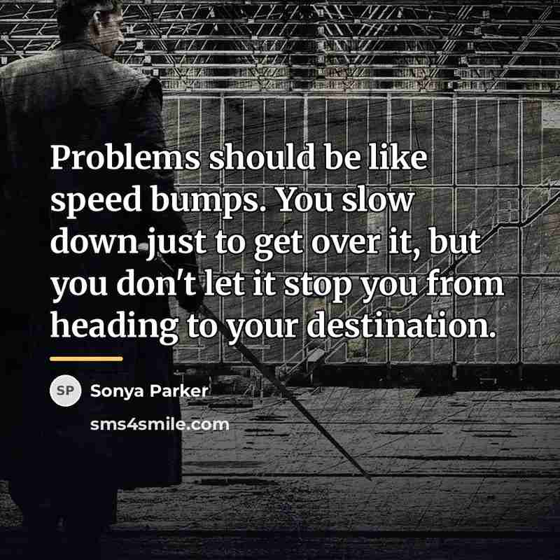 “Problems should be like speed bumps. You slow down just…” quote by Sonya Parker