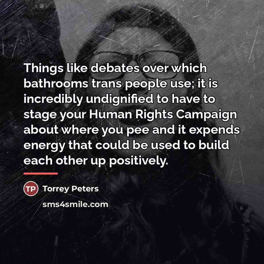“Things like debates over which bathrooms trans people use; it…” quote by Torrey Peters