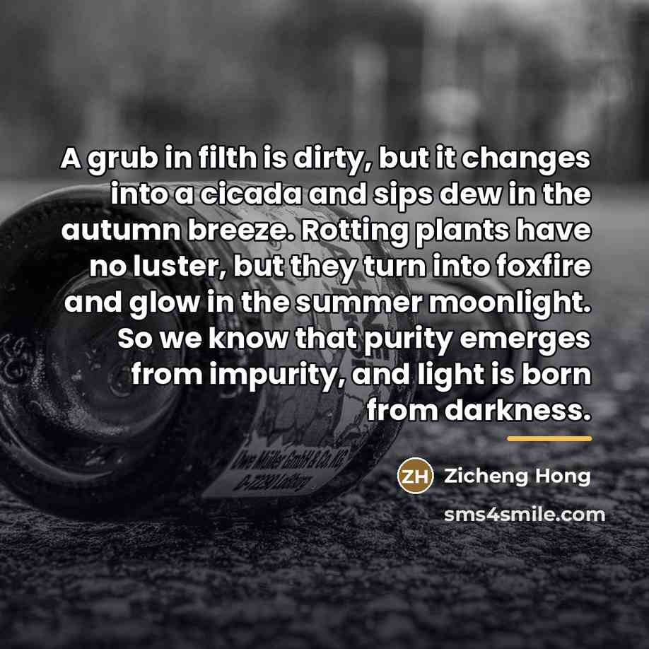 “A grub in filth is dirty, but it changes into…” quote by Zicheng Hong