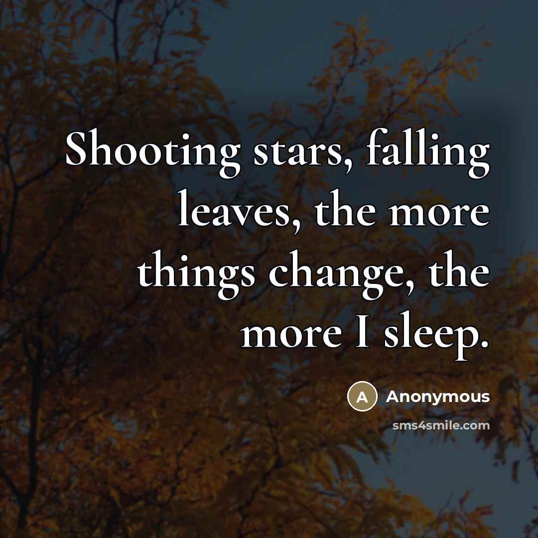“Shooting stars, falling leaves, the more things change, the more…” quote by Anonymous