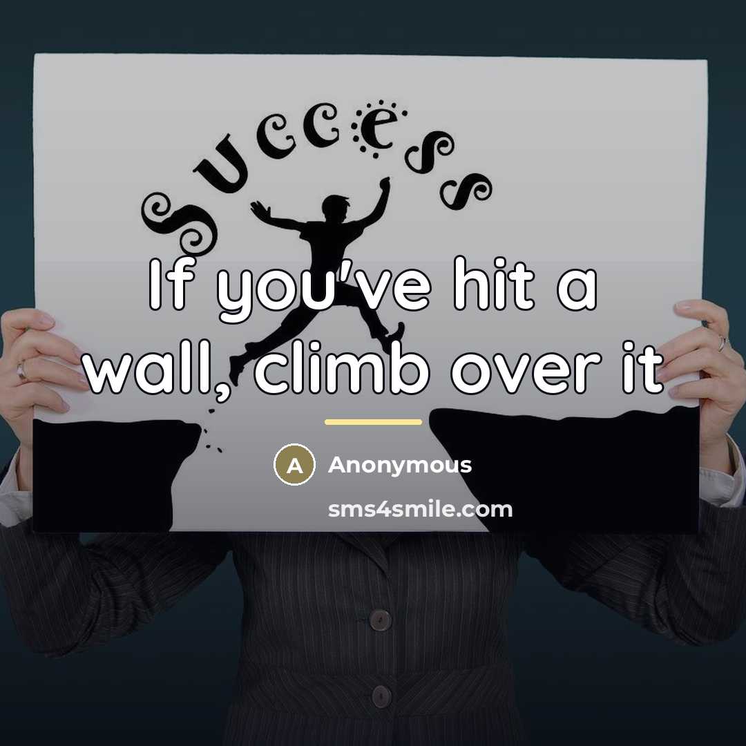 “If you've hit a wall, climb over it…” quote by Anonymous