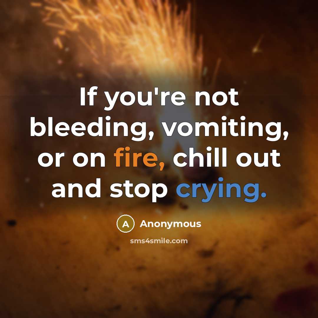 “If you're not bleeding, vomiting, or on fire, chill out and stop crying.” quote by Anonymous
