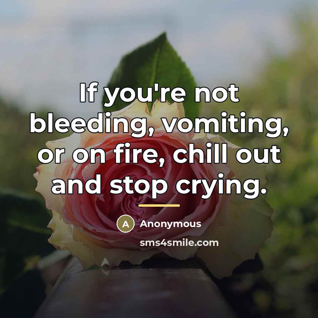 “If you're not bleeding, vomiting, or on fire, chill out…” quote by Anonymous
