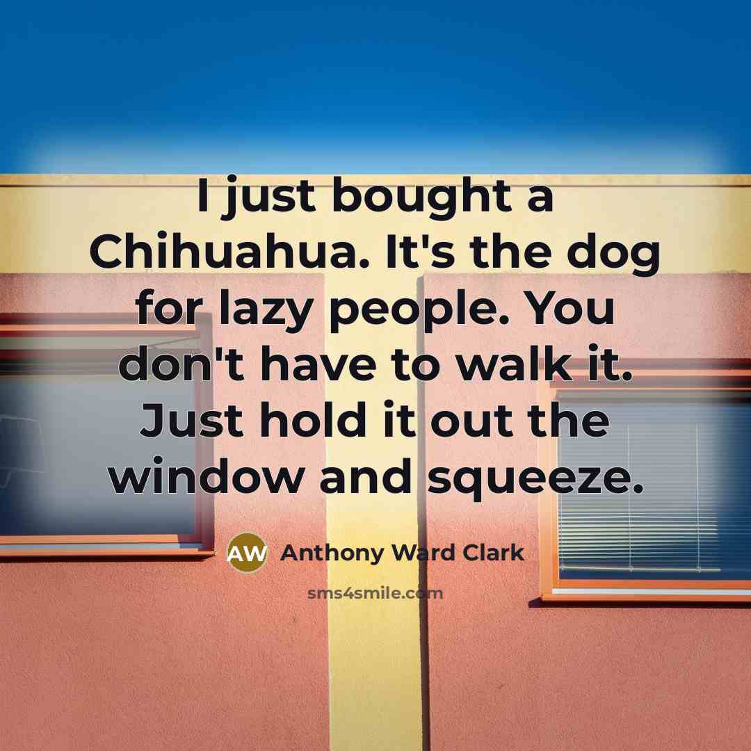 “I just bought a Chihuahua. It's the dog for lazy people. You don't have to walk it. Just hold it out the window and squeeze.” quote by Anthony Ward Clark