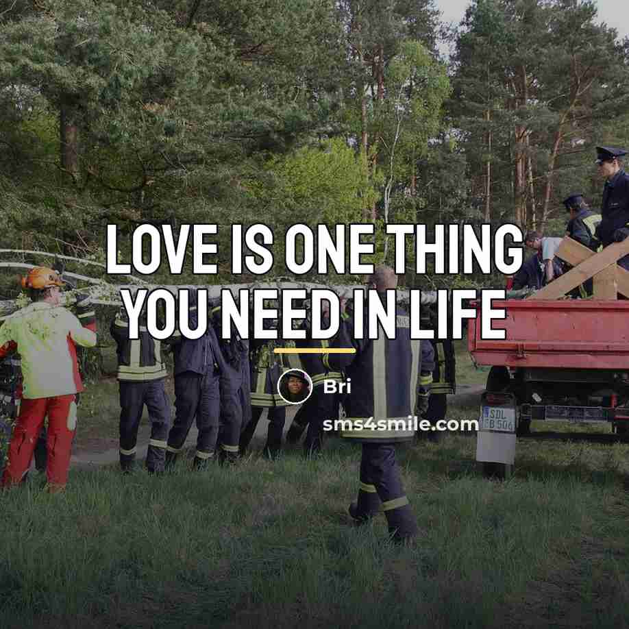 “Love is one thing you need in life…” quote by Bri