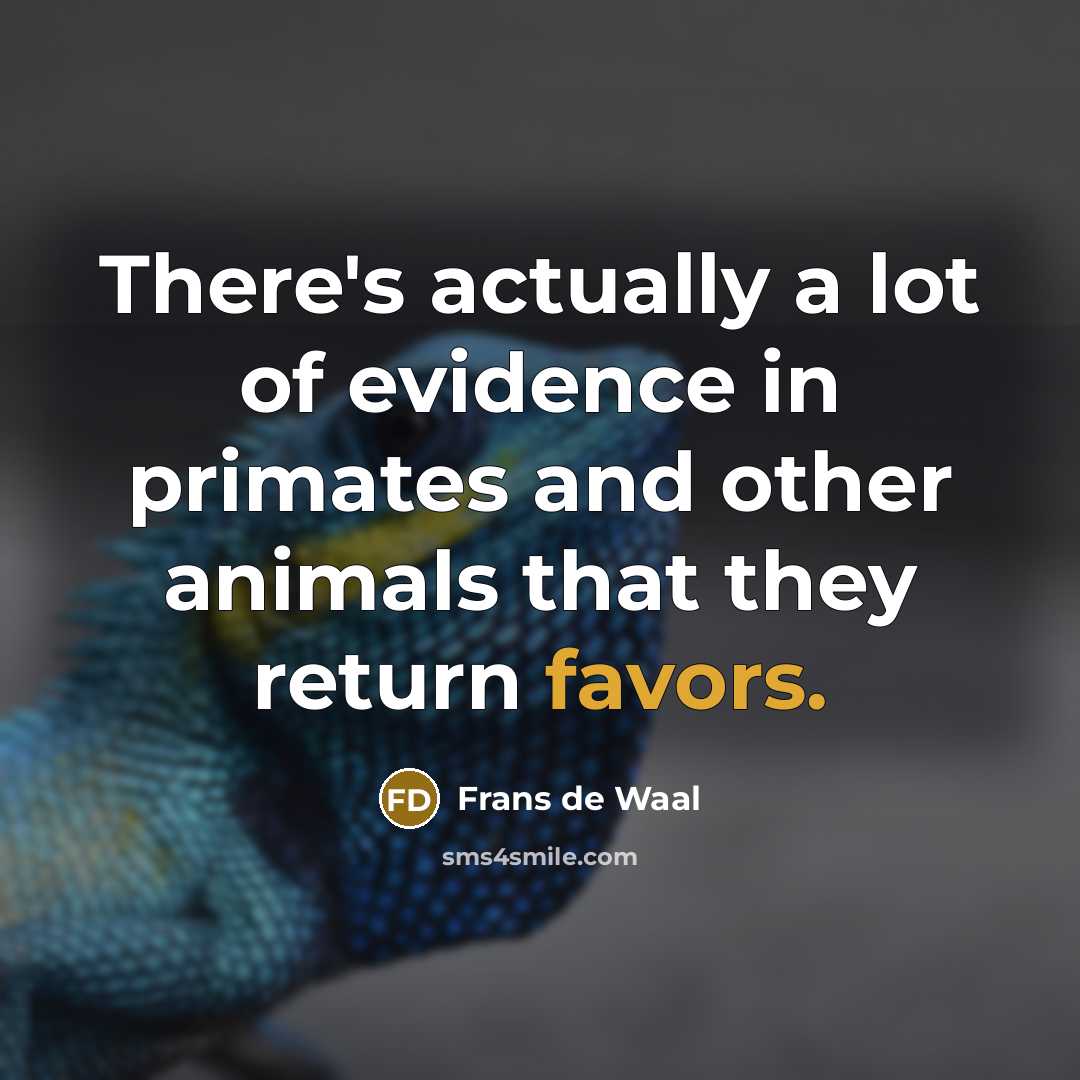 “There's actually a lot of evidence in primates and other…” quote by Frans de Waal