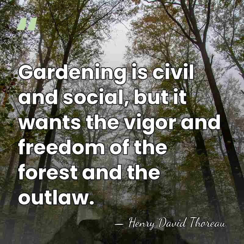 Gardening is civil and social, but it wants the vigor and freedom&hellip; - Henry David Thoreau
