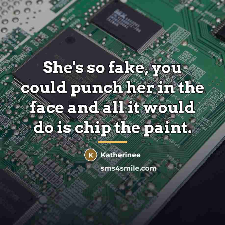 “She's so fake, you could punch her in the face…” quote by Katherinee