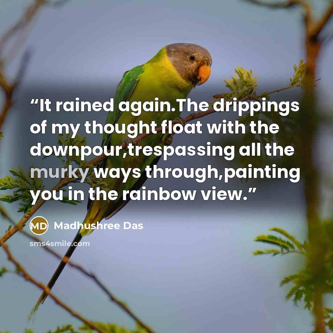 “It rained again.The drippings of my thought float with the downpour,trespassing all the murky ways through,painting you in the rainbow view.” quote by Madhushree Das