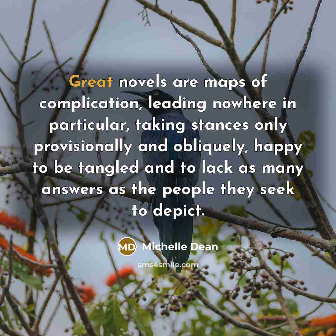 “Great novels are maps of complication, leading nowhere in particular,…” quote by Michelle Dean