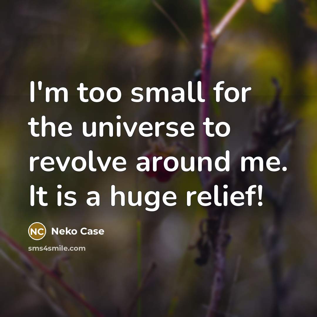 “I'm too small for the universe to revolve around me.…” quote by Neko Case
