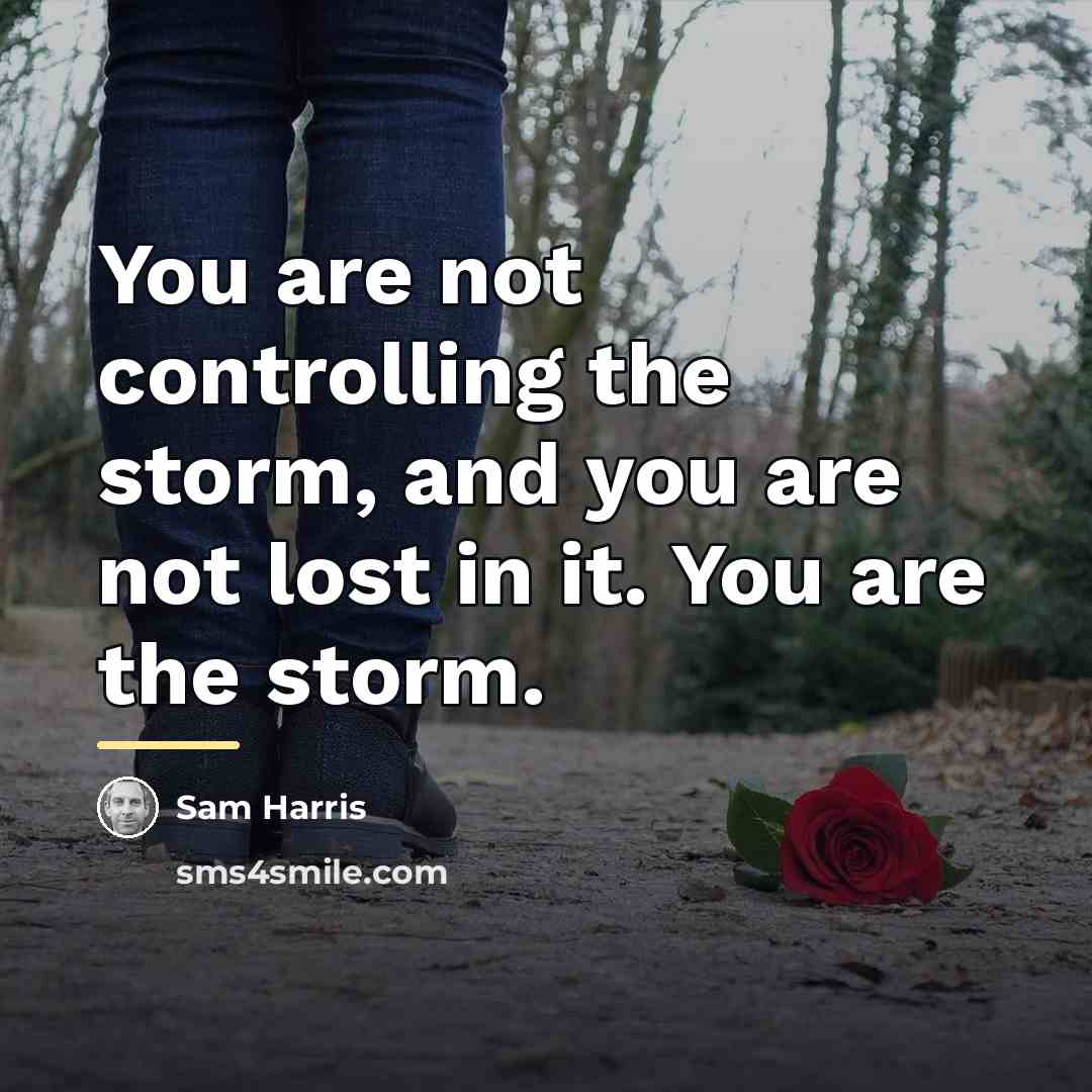 “You are not controlling the storm, and you are not…” quote by Sam Harris