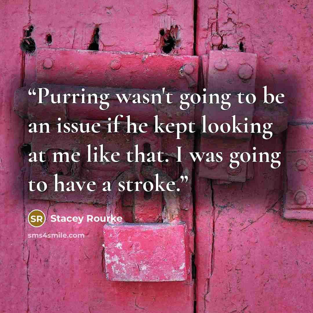 “Purring wasn't going to be an issue if he kept looking at me like that. I was going to have a stroke.” quote by Stacey Rourke
