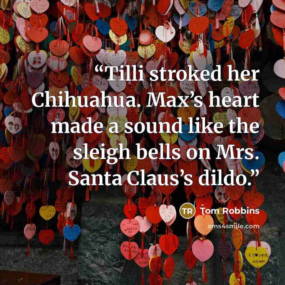 “Tilli stroked her Chihuahua. Max’s heart made a sound like the sleigh bells on Mrs. Santa Claus’s dildo.” quote by Tom Robbins