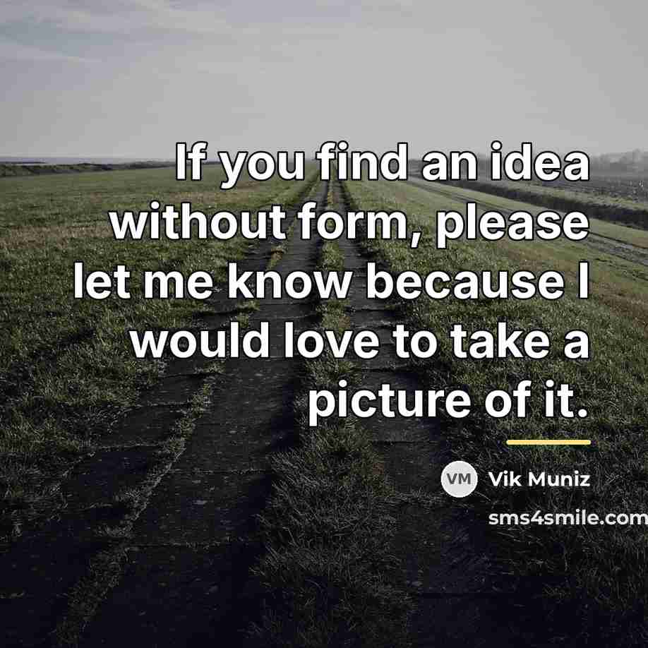 “If you find an idea without form, please let me…” quote by Vik Muniz