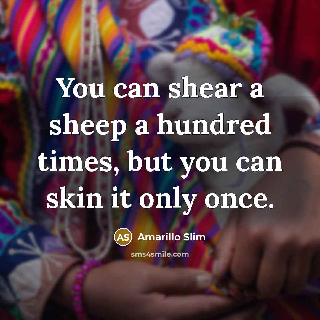 “You can shear a sheep a hundred times, but you…” quote by Amarillo Slim
