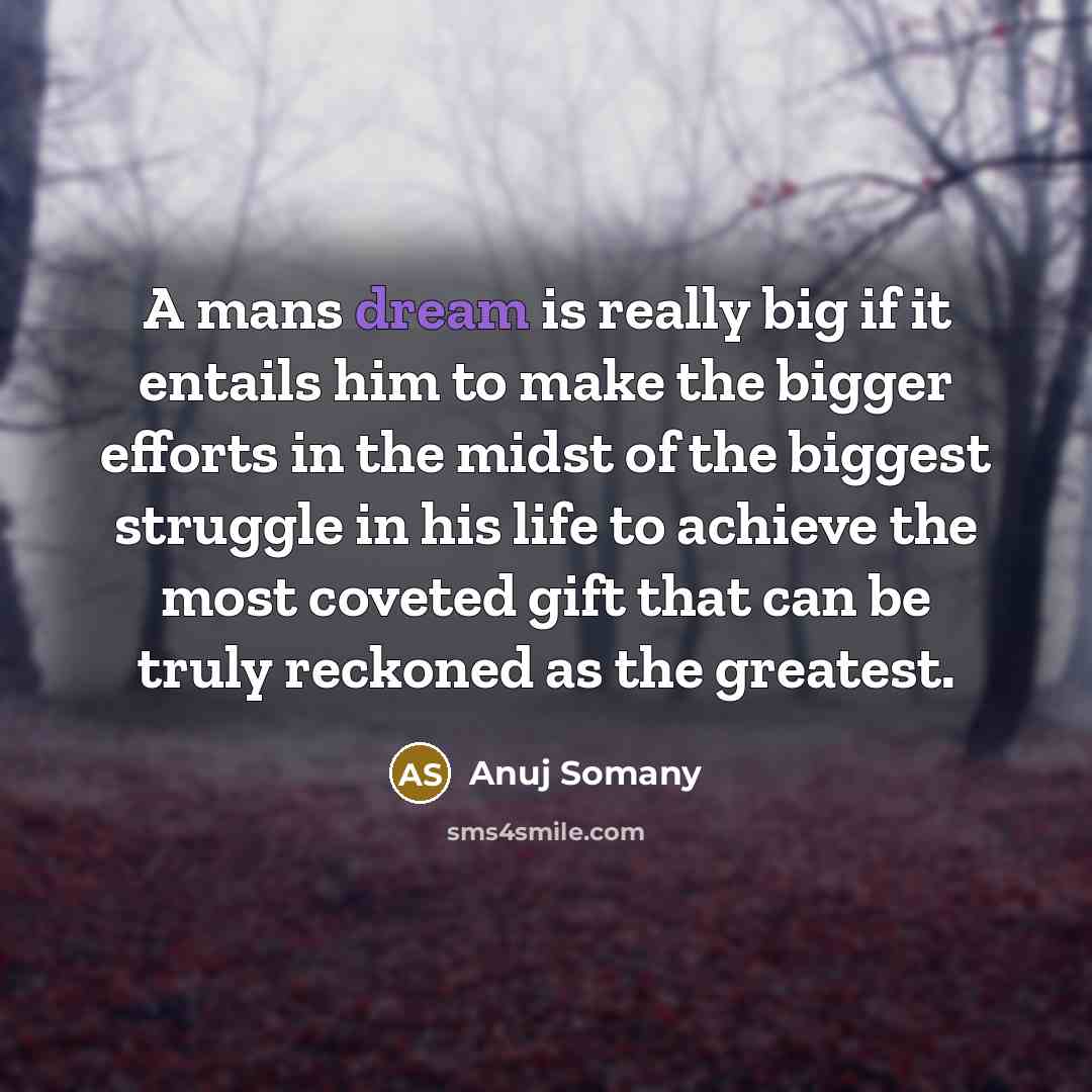 “A mans dream is really big if it entails him…” quote by Anuj Somany