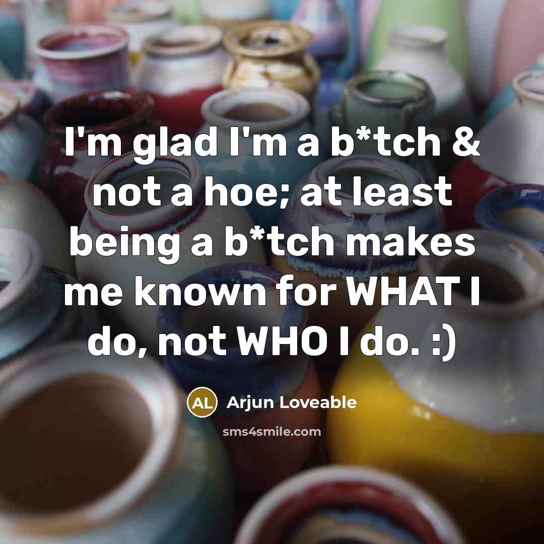 “I'm glad I'm a b*tch & not a hoe; at…” quote by Arjun Loveable