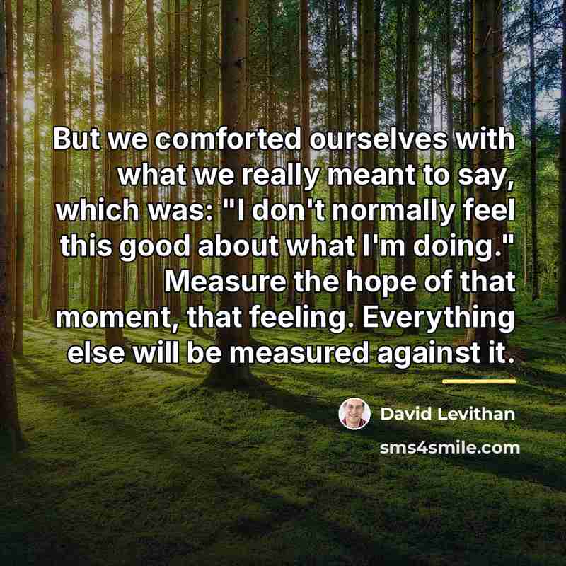 “But we comforted ourselves with what we really meant to…” quote by David Levithan