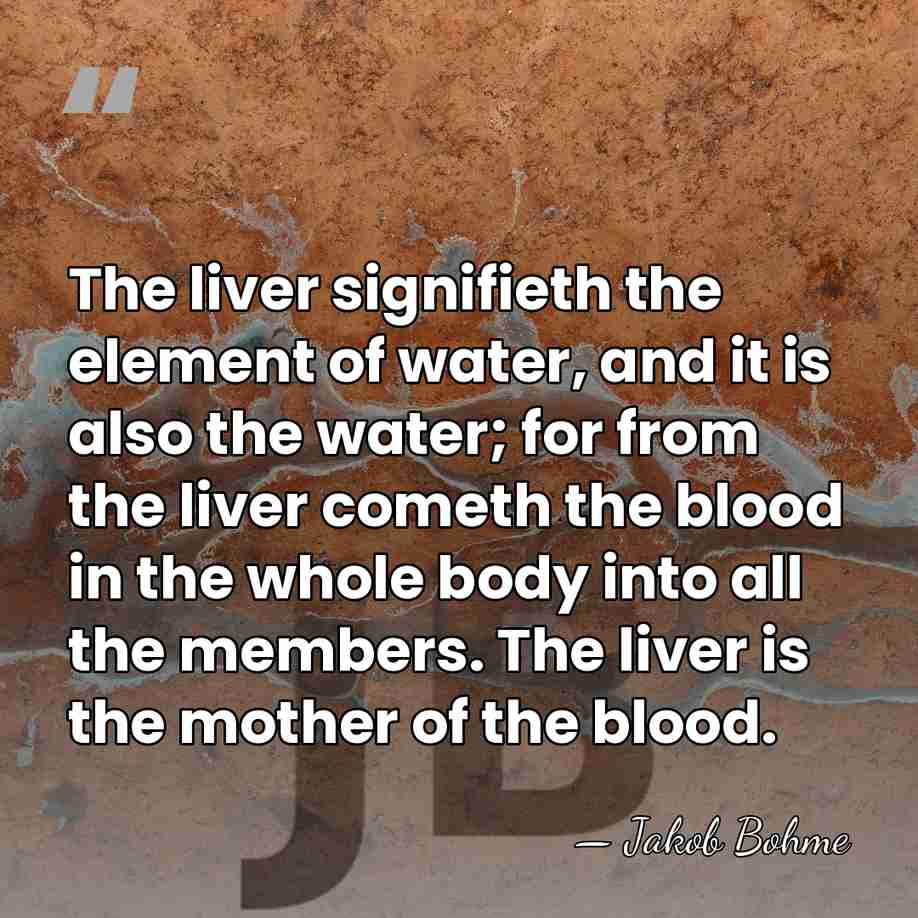 The liver signifieth the element of water, and it is also the&hellip; - Jakob Bohme
