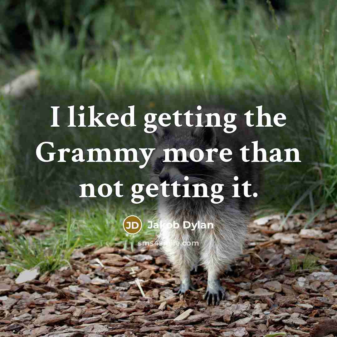 “I liked getting the Grammy more than not getting it.…” quote by Jakob Dylan