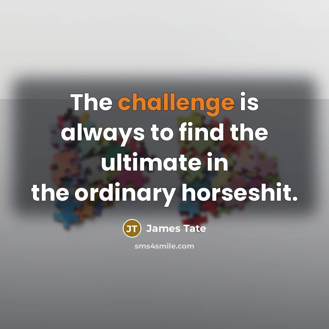 “The challenge is always to find the ultimate in the ordinary horseshit.” quote by James Tate