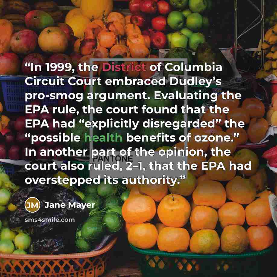 “In 1999, the District of Columbia Circuit Court embraced Dudley’s pro-smog argument. Evaluating the EPA rule, the court found that the EPA had “explicitly disregarded” the “possible health benefits of ozone.” In another part of the opinion, the court also ruled, 2–1, that the EPA had overstepped…” quote by Jane Mayer