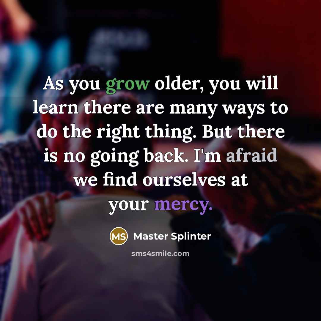 “As you grow older, you will learn there are many ways to do the right thing. But there is no going back. I'm afraid we find ourselves at your mercy.” quote by Master Splinter