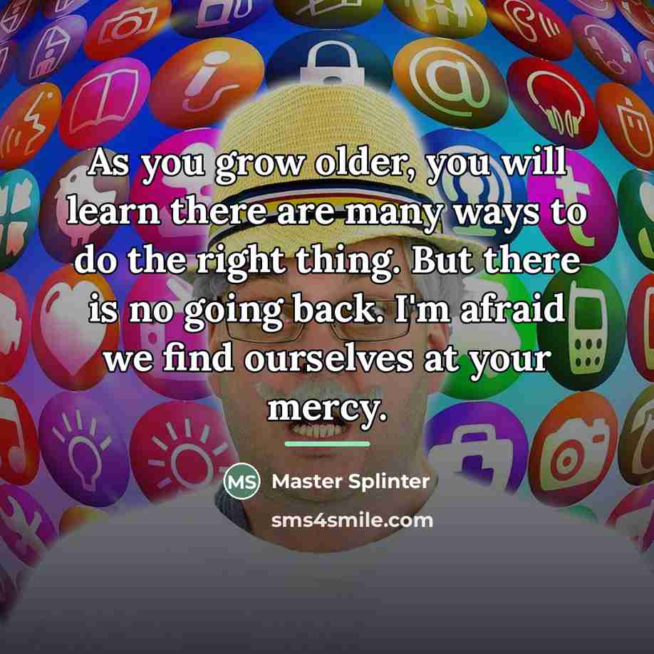 “As you grow older, you will learn there are many…” quote by Master Splinter