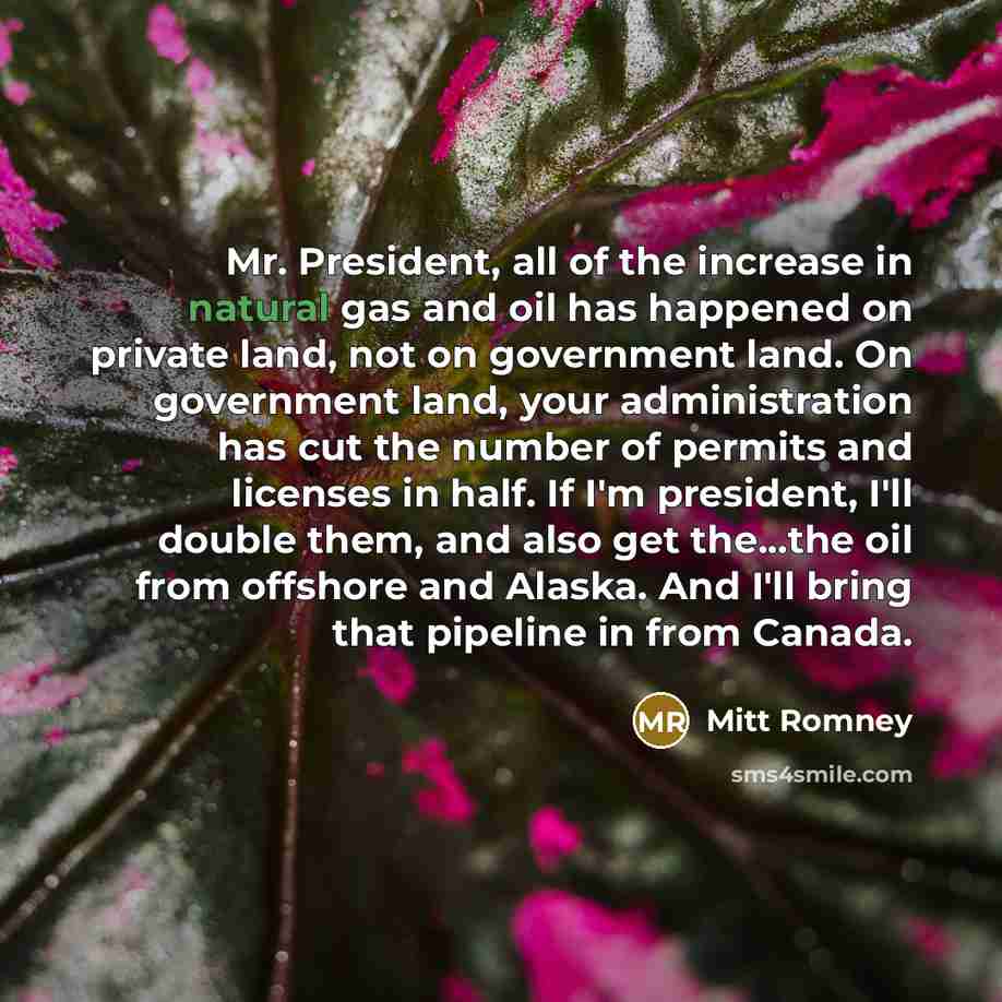 “Mr. President, all of the increase in natural gas and oil has happened on private land, not on government land. On government land, your administration has cut the number of permits and licenses in half. If I'm president, I'll double them, and also get the...the oil from offshore and Alaska. And…” quote by Mitt Romney