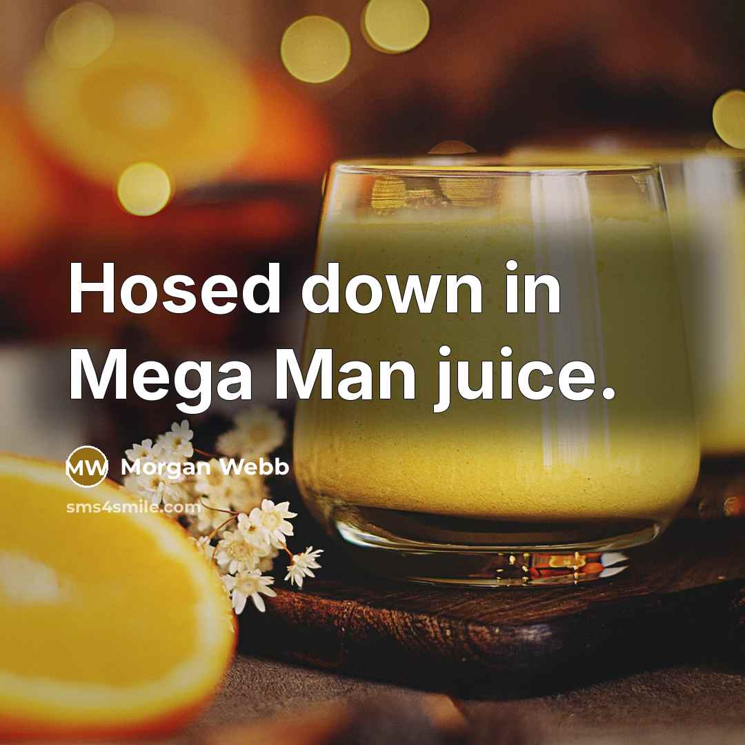 “Hosed down in Mega Man juice.…” quote by Morgan Webb