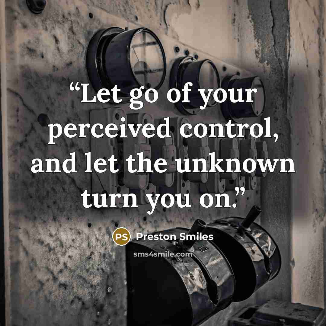 “Let go of your perceived control, and let the unknown turn you on.” quote by Preston Smiles