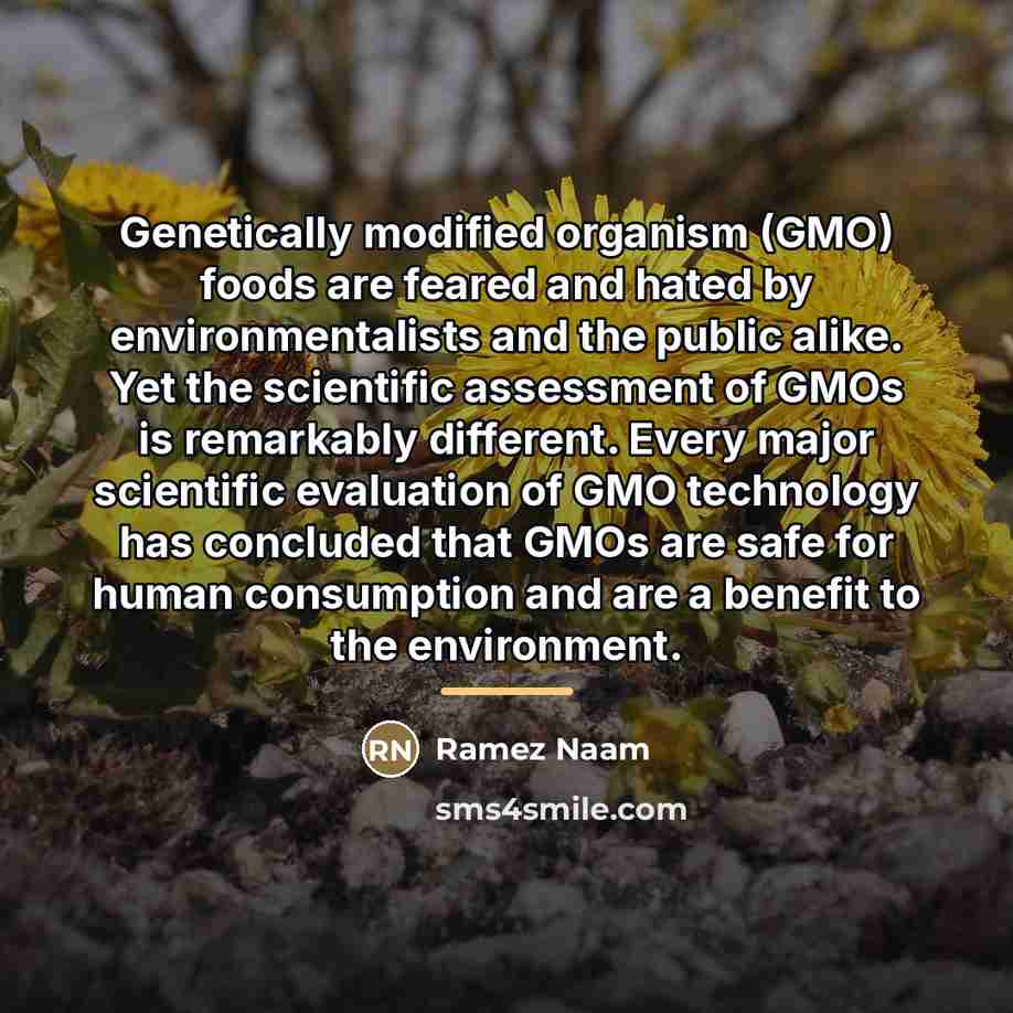 “Genetically modified organism (GMO) foods are feared and hated by…” quote by Ramez Naam