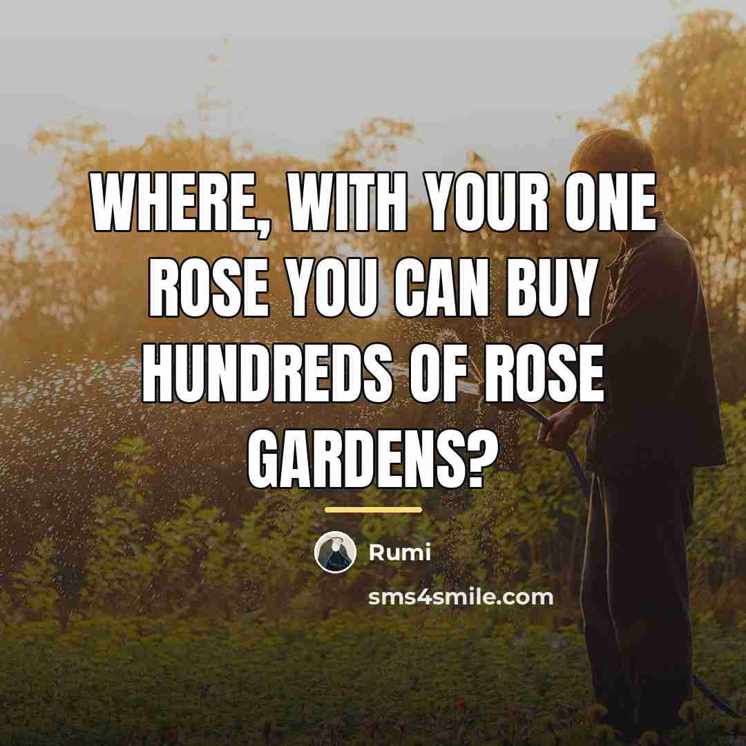 “Where, with your one rose you can buy hundreds of…” quote by Rumi
