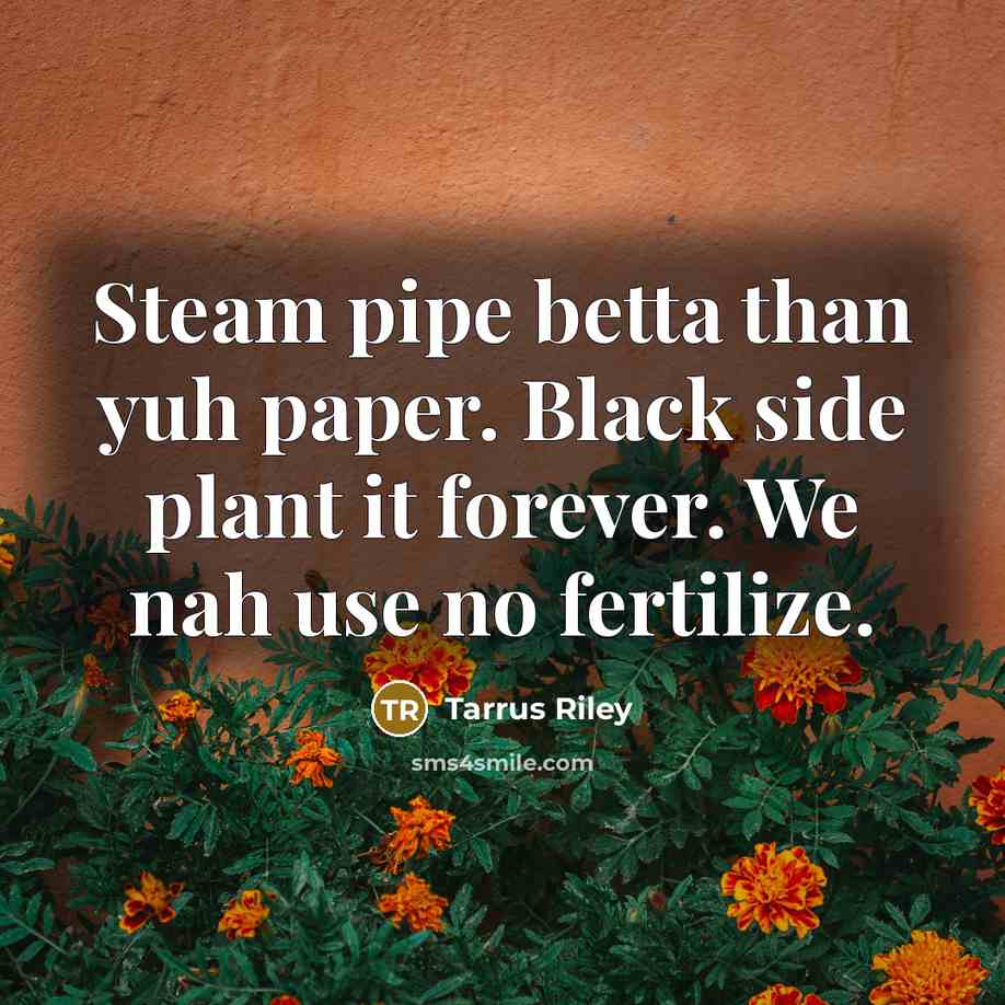 “Steam pipe betta than yuh paper. Black side plant it…” quote by Tarrus Riley