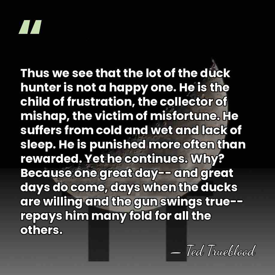 Thus we see that the lot of the duck hunter is not&hellip; - Ted Trueblood