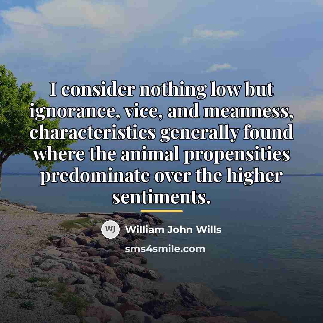 “I consider nothing low but ignorance, vice, and meanness, characteristics…” quote by William John Wills