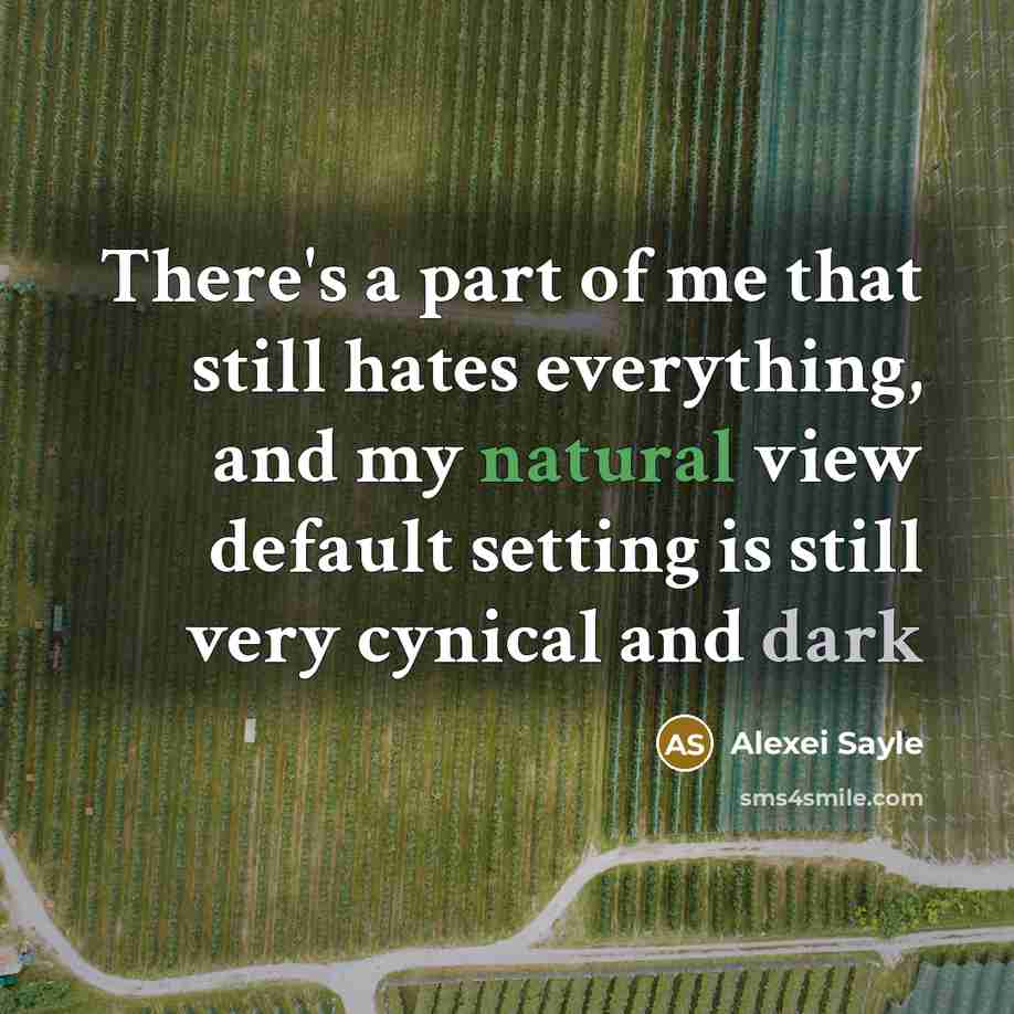 “There's a part of me that still hates everything, and…” quote by Alexei Sayle