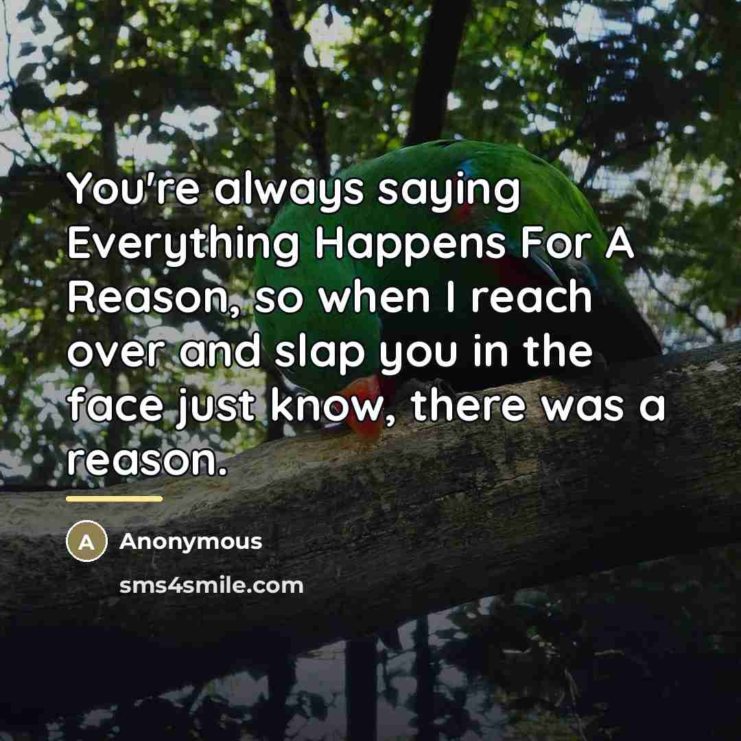 “You're always saying Everything Happens For A Reason, so when…” quote by Anonymous