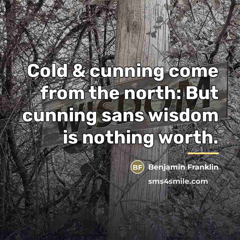 “Cold & cunning come from the north: But cunning sans…” quote by Benjamin Franklin