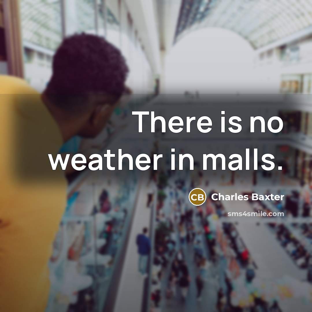 “There is no weather in malls.…” quote by Charles Baxter