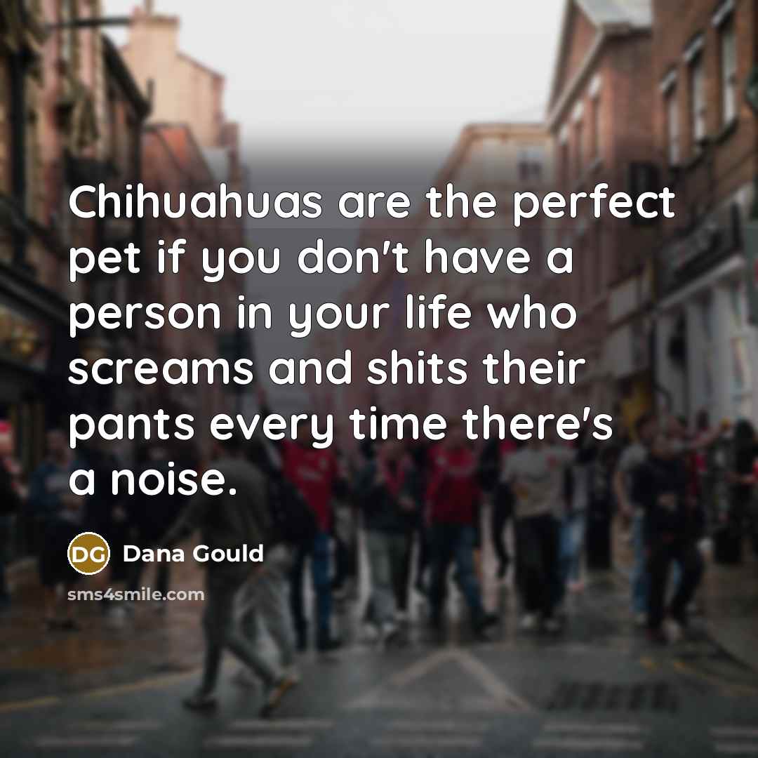“Chihuahuas are the perfect pet if you don't have a…” quote by Dana Gould