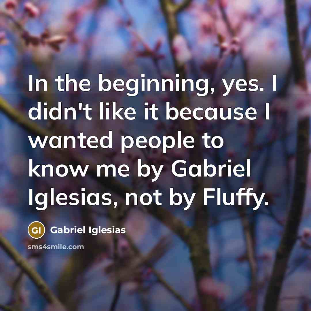 “In the beginning, yes. I didn't like it because I…” quote by Gabriel Iglesias
